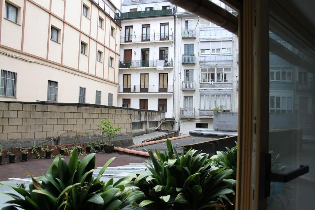 Apartment La Casa Del Arbol San Sebastian