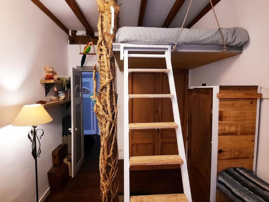 La Casa Del Arbol San Sebastian